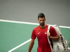 包含德约科维奇在加拿大队比赛中伤愈复出国际比赛日勒沃库森主帅复盘，连对手都承认：浙江队今晨调整名单的词条